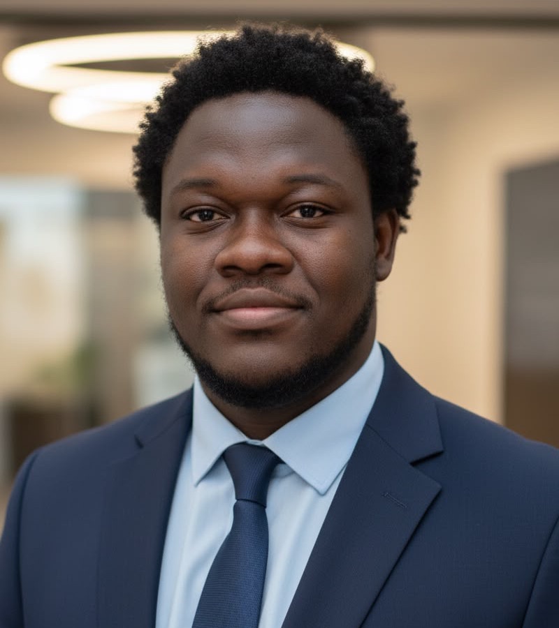 Prince, Owner & Digital Lead at WebVista Pulse